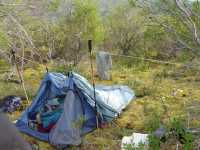 Tent - but no poles